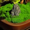 Bustards Artificial Tree Office Study Chinese Decorative Ornaments Simulation Bonsai Fake Green Plants Potted Hotel High-Grade Furnishings Artificial Plants Indoor view 4