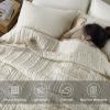 KASENTEX Luxury Velvet Quilt Set 3 Pieces Oversize Queen,Soft Bedspread Coverlet with 2 Pillow Shams, Lightweight Bed Blanket, Elegant Stitch Design, Machine Wash All Season Bedding,Light Khaki view 2