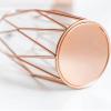 Vases Glass Flower Vase with Geometric Metal Holder Rose Gold Metal Holder Vase Flower Vase Bouquet for Living Room Wedding Home Table Flower Dcor view 4