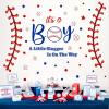 Baseball Theme Baby Shower Backdrop Decorations Gender Reveal Party Decals Baby Boy Sign Balloon Arch Decal Baby Shower Party Stickers is A Little Slugger in On The Way Backdrop Decals view 3
