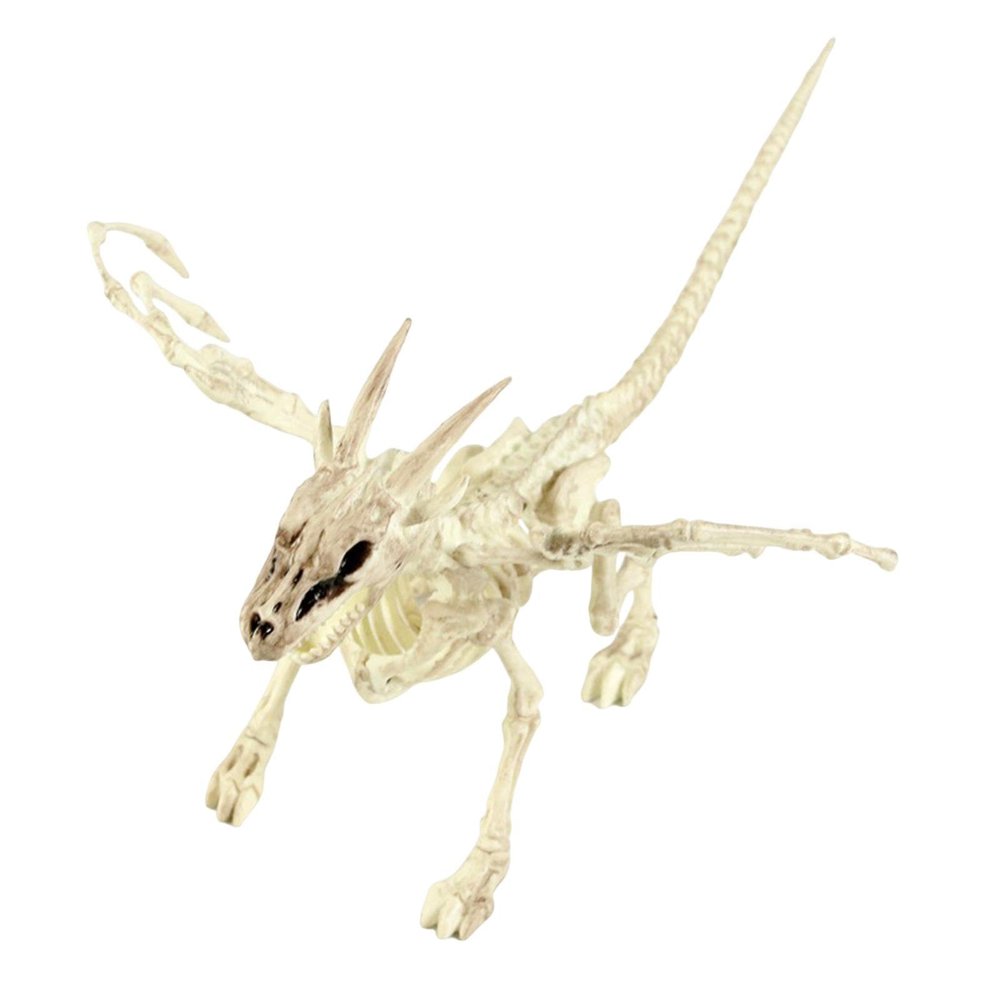 Makamsui Halloween Poseable Skeleton Decor, Animals Skeletons Poseable Rat Dog Spider Cat Owl Skeleton Figurine Skeleton Bone Statues for Prop Indoor Outdoor Decor Spooky Scene Party Favors Dragon