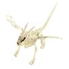 Makamsui Halloween Poseable Skeleton Decor, Animals Skeletons Poseable Rat Dog Spider Cat Owl Skeleton Figurine Skeleton Bone Statues for Prop Indoor Outdoor Decor Spooky Scene Party Favors Dragon view 1