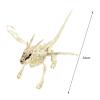 Makamsui Halloween Poseable Skeleton Decor, Animals Skeletons Poseable Rat Dog Spider Cat Owl Skeleton Figurine Skeleton Bone Statues for Prop Indoor Outdoor Decor Spooky Scene Party Favors Dragon view 3