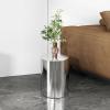 PFCDZDU Cylinder Pedestal Stands, Sculpture Display Round Plinth Pillars, Stackable Stainless Steel Props Exhibition Base for Wedding Party Art Event Decor(Silver-A,32.5X40CM) view 3