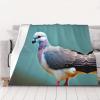 DRTGEDS Washes Well Flannel Cartoon Pigeon 4 Blanket Dual Sided Warm Blanket Winter Warmth Bed Blanket view 1