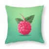 LFDSPYJE Decorative Throw Pillow Cover Red Fruit Pillow Case Farmhouse Cushion Cover Soft Pillowcase Square Cushion Case for Sofa Couch Chair Bedroom 17x17 Inches view 1