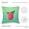 LFDSPYJE Decorative Throw Pillow Cover Red Fruit Pillow Case Farmhouse Cushion Cover Soft Pillowcase Square Cushion Case for Sofa Couch Chair Bedroom 17x17 Inches view 3