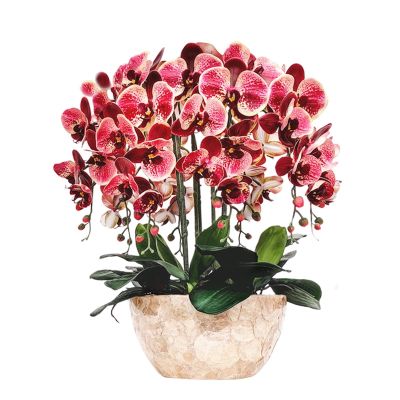 eexbz Artificial Flower Artificial Flower Phalaenopsis Arrangements Party Shower Home Decorations Green Plants Potted Floral Indoor Living Room Furnishings Flowers Artificial for Decoration(2)