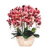 eexbz Artificial Flower Artificial Flower Phalaenopsis Arrangements Party Shower Home Decorations Green Plants Potted Floral Indoor Living Room Furnishings Flowers Artificial for Decoration(2) view 1