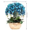 eexbz Artificial Flower Artificial Flower Phalaenopsis Arrangements Party Shower Home Decorations Green Plants Potted Floral Indoor Living Room Furnishings Flowers Artificial for Decoration(2) view 2