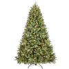 Treepool 9FT Pre-Lit Artificial Christmas Tree with 3658 PE&PVC Mixed Branch Tips, 850 Warm White Lights, Hinged Premium Spruce Fake Xmas Trees, Green, Foldable Base view 1