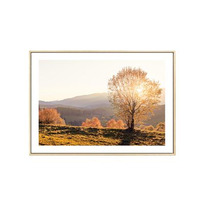 ABOXMAL Autumn Leaves Art Print, Canvas Print Posters, Assorted Aesthetic, Fall Wall Decor, Fall Rustic Autumn Art for Bedroom Living Room Home Porch Decorations(F,20 * 28in)