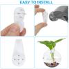 PATIKIL Wall Hanging Glass Terrarium Planters 5x5inch, 6 Pack Oblate Wall-Mounted Plant Propagation Station Container Flower Vases for Hydroponic Office Home Decor Indoor, Transparent view 3