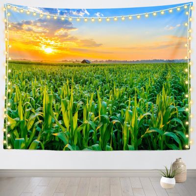CORFOTO Sunset View Cornfield Tapestry Fabric 98''Wx117''L Countryside Rural Corn Fields Stalks Farm Landscape Tapestry Wall Hanging Bedroom Aesthetic Living Room College Dorm Decor