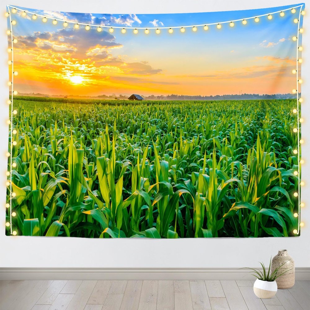 CORFOTO Sunset View Cornfield Tapestry Fabric 47''Wx70''L Countryside Rural Corn Fields Stalks Farm Landscape Tapestry Wall Hanging Bedroom Aesthetic Living Room College Dorm Decor