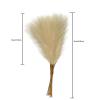 RISHORI Faux Pampas Grass Decor, 55cm Large Tall Fluffy Artificial Fake Flower Boho Decor, Bulrush Reed Grass Home Wedding Decor,Yellow Green Gradient view 2