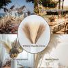 RISHORI Faux Pampas Grass Decor, 55cm Large Tall Fluffy Artificial Fake Flower Boho Decor, Bulrush Reed Grass Home Wedding Decor,Yellow Green Gradient view 4