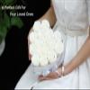 16 Preserved Rose in Heart Shaped Box,Forever Flowers for Delivery Birthday,Flowers Gifts for Women, Mother, Her Wife, Girlfriend on Valentines Mothers Day Christmas Anniversary (white) view 3