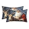 2 Pack Small/Standard/Queen Size Pillow Cases with Hidden Zipper Santa Claus and Deer Elk Pillow Cover 14"x20" Soft Breathable Pillowcase for Hair and Skin, Sleeping Gifts Bed Pillow Case view 1
