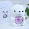 Drawelry Personalized Heart Necklace with Real Rose Bear Jewelry Box, Preserved Eternal Roses Hug Bear Gifts Set, Heart Necklace Bear Box Christmas Birthday Gifts for Woman (White, Yellow Gold) view 2