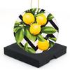 Christmas Ornaments Christmas Tree Decorative 2.95in Hanging Ornaments for Home Decor Christmas Keepsake (Lemon Yellow Limon Fruits Picture) view 1
