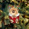 Personalized Pekingese Tan in Snow Pocket Christmas Ornament 2024, Custom Dog Ornament Tree Decor, Gift for Dog Lovers view 1