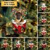 Personalized Pekingese Tan in Snow Pocket Christmas Ornament 2024, Custom Dog Ornament Tree Decor, Gift for Dog Lovers view 2