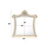 Acme Lucienne Velvet Upholstered and Wood Mirror with LED Lighting in Beige view 4
