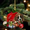 Personalized Boxer 2 Sleeping in Hat Christmas Ornament 2024, Custom Boxer 2 in Snow Pocket Ornament, Dog Ornament Tree Decor, Gift for Dog Lovers, Dog Christmas Decor view 1