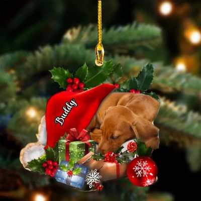 Personalized Dachshund Christmas Decor - Sleeping in Hat, Custom Pocket Ornament for Dog Lovers
