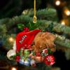 Personalized Dachshund Christmas Decor - Sleeping in Hat, Custom Pocket Ornament for Dog Lovers view 1