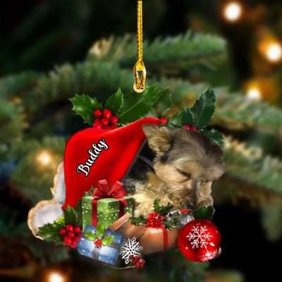 Personalized Morkie Sleeping in Hat Christmas Ornament 2024, Custom Snow Pocket Design, Tree Decor, Gift for Dog Lovers
