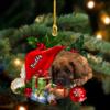 Leon Berger Sleeping in Hat Christmas Decor - Custom Dog Ornament, Gift for Dog Lovers view 1