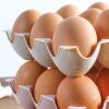 DriKou Egg Tray, 3 Rows Egg Storage Container, Fresh keeping Multi purpose Stackable Space saving Storage Container, for Farm Household Egg Organizer, Kitchen, Refrigerator view 3