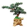 Artificial ed Plants Artificial Podocarpus Pine Simulation Green Plant Bonsai Resin Root Carving Base Zen Desktop Ornaments Home Interior Living Room Decoration Gifts, Green, 18.5" High Artificia view 1