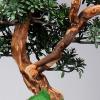 Artificial ed Plants Artificial Podocarpus Pine Simulation Green Plant Bonsai Resin Root Carving Base Zen Desktop Ornaments Home Interior Living Room Decoration Gifts, Green, 18.5" High Artificia view 3