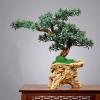 Artificial ed Plants Artificial Podocarpus Pine Simulation Green Plant Bonsai Resin Root Carving Base Zen Desktop Ornaments Home Interior Living Room Decoration Gifts, Green, 18.5" High Artificia view 4