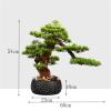 YOUQUEEN Artifical Tree Chinese Entrance Welcome Pine Bonsai Indoor Greenery Large Potted Plant Simulation Plant Ornament with Black Ceramic Flower Pot Decoration Artificial Tree Indoor view 2