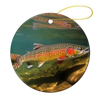 Brook Trout Fly Fishing Christmas Ornament Round Ceramic Ornaments for Christmas Tree Hanging Ornaments with Gold Ribbon Home Decoration 2024 Gifts for Christmas Tree Decorations