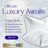 Continental Bedding Luxury Down, 100% Polish Goose Down Pillow, White, King view 4