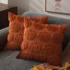 2Pack Pumpkin Fall Decorative Throw Pillow Covers 18*18 inches Autumn Throw Pillow Cases Soft Plush Faux Fur Wool Couch Cushion Case for Chair Sofa Bedroom Room Home Decor (Orange Pumpkin) view 2