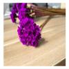 30 Stems Daisy Dried Flowers, Rose Purple Dried Daisy Flowers Bouquet, Small Daisy Chamomile Dry Flower for Wedding Floral Arrangements DIY Photo Props Home Decor Gift view 1