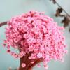 30 Stems Daisy Dried Flowers, Rose Purple Dried Daisy Flowers Bouquet, Small Daisy Chamomile Dry Flower for Wedding Floral Arrangements DIY Photo Props Home Decor Gift view 2