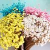 30 Stems Daisy Dried Flowers, Rose Purple Dried Daisy Flowers Bouquet, Small Daisy Chamomile Dry Flower for Wedding Floral Arrangements DIY Photo Props Home Decor Gift view 4