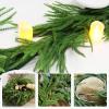 2Pcs 6FT Norfolk Pine Garland Christmas Dense Winter Pine Garland Green Artificial Faux Greenery Real Touch Garlands for Mantle, Wall, Table, Home Xmas Holiday Decor view 4