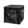 YJWANDL Foldable Storage Bins, A Black Cat on A Black Background Print Organizer Boxes with Sturdy Handles, Collapsible Storage Containers for Closet, Shelves, Bedroom view 1