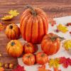 HELLORSO 7Pcs Artificial Pumpkins Faux Foam Fall Harvest Pumpkin Halloween Thanksgiving Decorations Indoor for Home, Lifelike Simulation Foam Pumpkins Set Fall Harvest Home Party Supplies (Orange) view 3