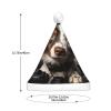 HQaxsfQxnr Santa Hat with LED Lights Christmas Hat for Adult Dog Holding Camera Santa Hats Light Up Xmas Hats for Party Holiday view 2