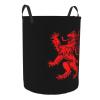 Lion Rampant Scottish Flag Symbol Scotland Laundry Basket Round Portable Storage Box Organizer Laundry Basket Portable Laundry Organizer Laundry Basket view 2