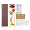 Ymiko 24k Gold Rose Dipped in Box with Display Stand Red Rose Her view 3